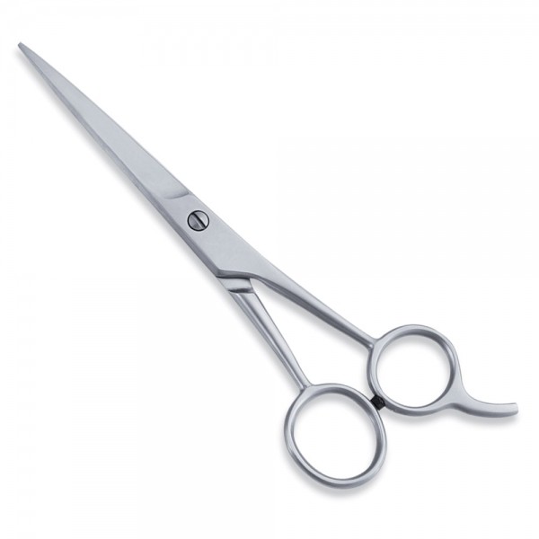 Economy Scissor